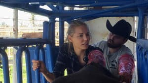 Episodio 6