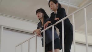 Episodio 8