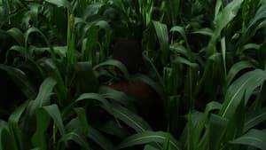 The Last Harvest — foto 1