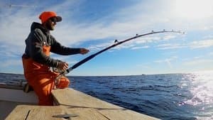 Episodio 4