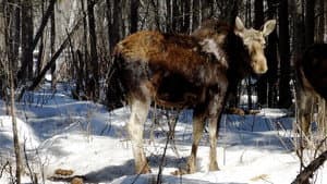 Episodio 4