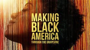 Making Black America — foto 3