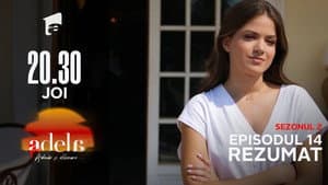 Episodio 14