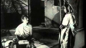 বিদ্যাসাগর — foto 3