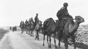 Caravane de chameaux — foto 1