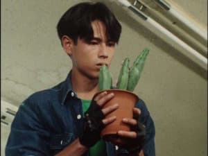 Episodio 34