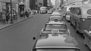 The Cars in Your Life — foto 1