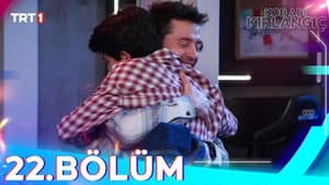 Episodio 22