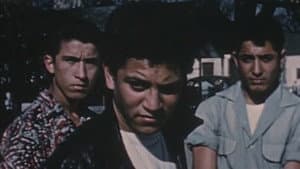 Gang Boy — foto 1