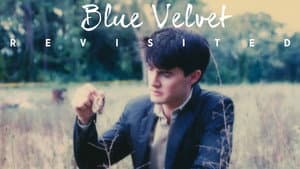 Blue Velvet Revisited — foto 4
