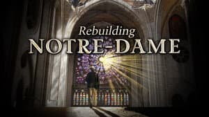 Rebuilding Notre-Dame — foto 1