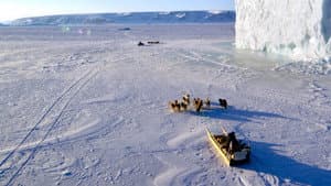The Last Ice — foto 1