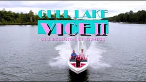 Gull Lake Vice II: The Delusion Continues — foto 1