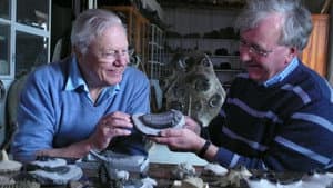 Attenborough at 90: Behind the Lens — foto 4