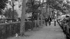The Narcissists — foto 1