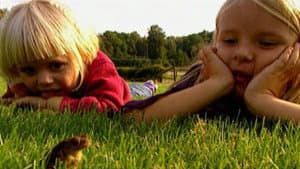 Myten om prinsgrodan — foto 1