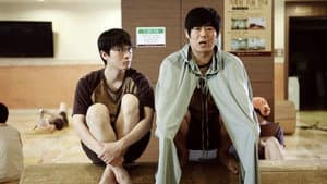 아부의 왕 — foto 1