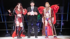 STARDOM Tokyo Dream Cinderella 2021 — foto 3