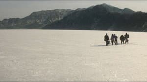 巡城馬 — foto 4