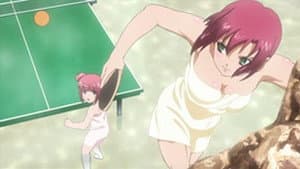 Episodio 12