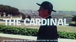 El cardenal — foto 8