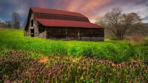 Appalachian Spring — foto 2