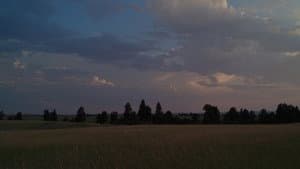 Human Nature — foto 3