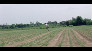 Sunny Life Farms — foto 5