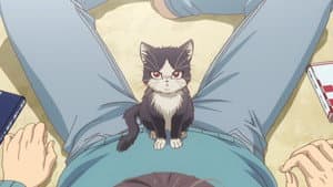 Doukyonin wa Hiza, Tokidoki, Atama no Ue — foto 5