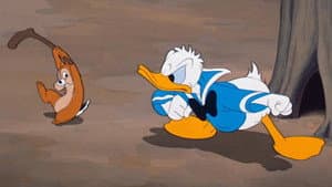 Duck Flies Coop — foto 8