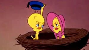 Bad Ol' Putty Tat — foto 2
