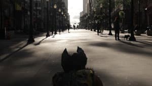 Dia de Cãos — foto 1