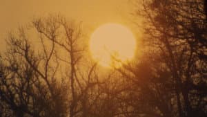 Le soleil tout entier ne se trouve nulle part — foto 4