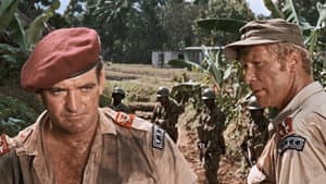 Los mercenarios — foto 4