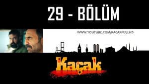 Episodio 29