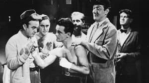 Fighting Fools — foto 1