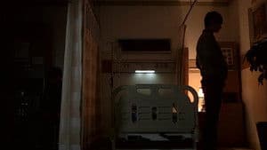 Episodio 8