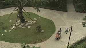 Episodio 8
