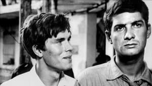 La notte brava — foto 5