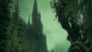 Harry Potter — foto 11