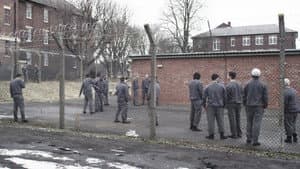 Offender — foto 1