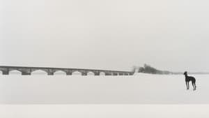 Pavasaris — foto 1