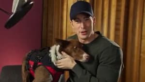 Superpower Dogs — foto 3