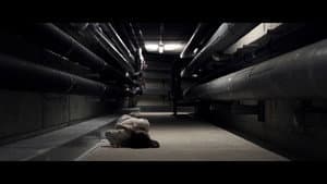 Tunnelblick — foto 10