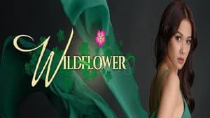 Wildflower — foto 1