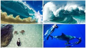 Shorebreak: The Clark Little Story — foto 2