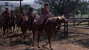 El rey de Texas — foto 11