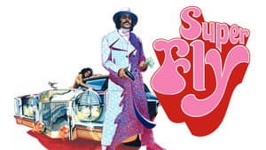 Super Fly — foto 2