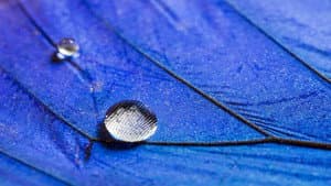 Bionik Revolution - Die besten Ideen der Natur — foto 1