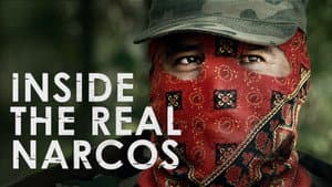 Entre los verdaderos Narcos — foto 5